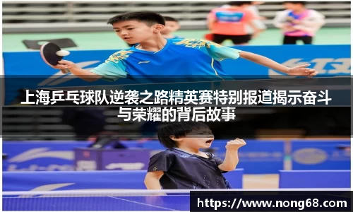 上海乒乓球队逆袭之路精英赛特别报道揭示奋斗与荣耀的背后故事